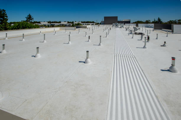 Roof Coating Services in Versailles, PA